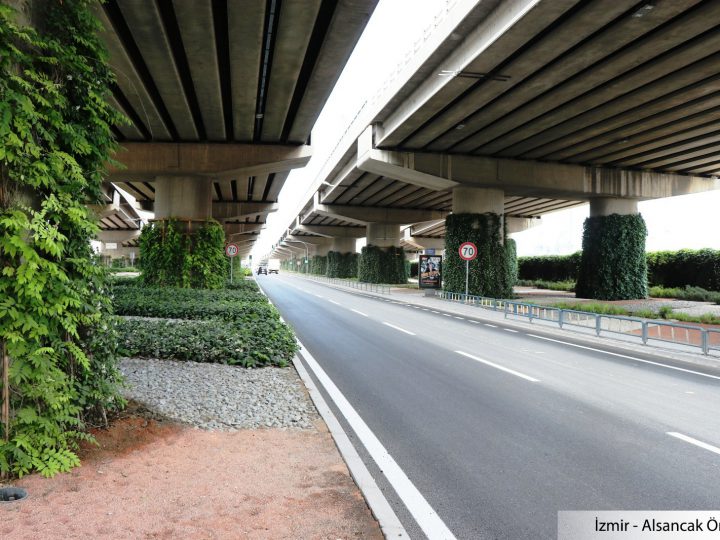 Dikey bahçe ve kamu yararı