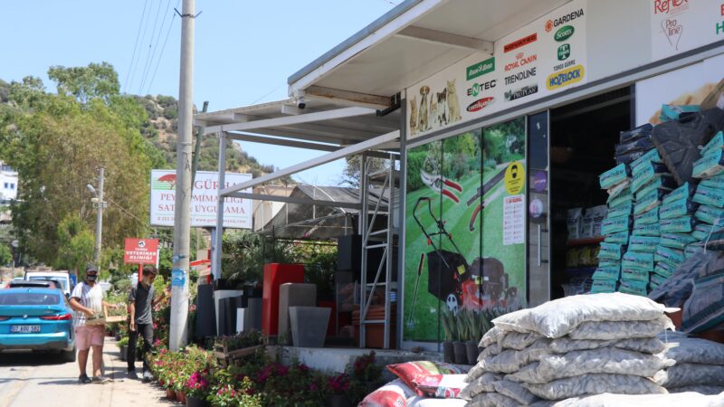 Bodrum market