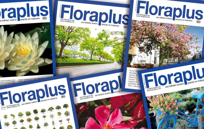 Floraplus adds value to your business and profession!