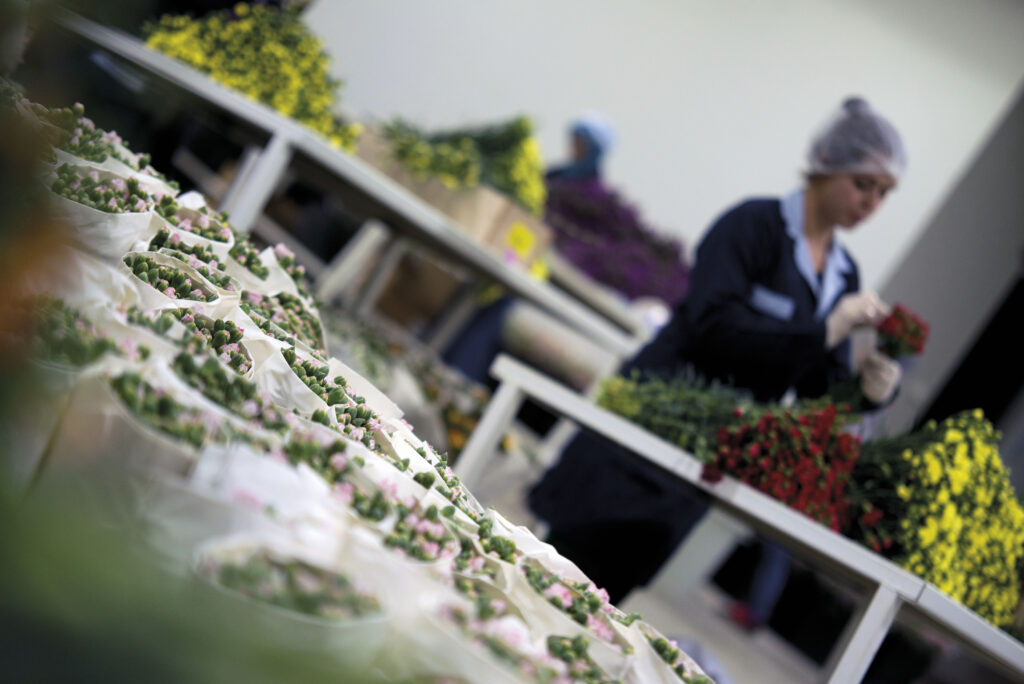 _DSC9662