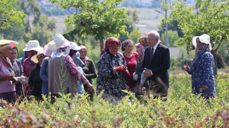 Sektör, CHP liderine kendini anlattı…   
