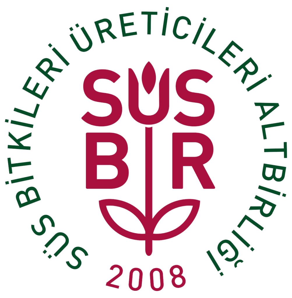 S_sbir - Logo