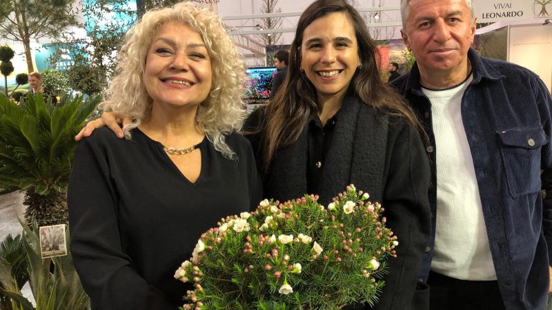 IPM Essen and Türkiye