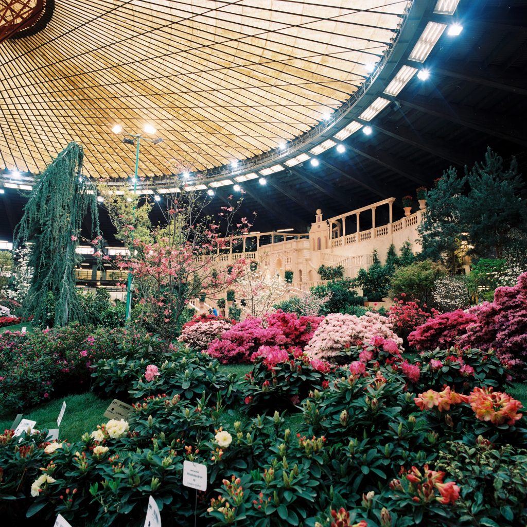 2001 Palasport