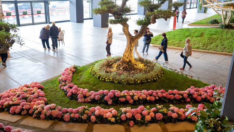 Eroflora 2025 sona erdi.