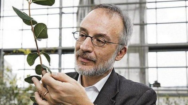 Profesör Stefano Mancuso’yu Peyzaj İstanbul 2025’te (LİF) görmek…