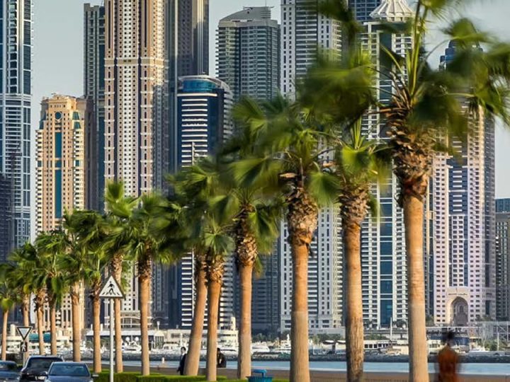 Myplant, İtalya-Milano’dan sonra Myplant & Garden Orta Doğu