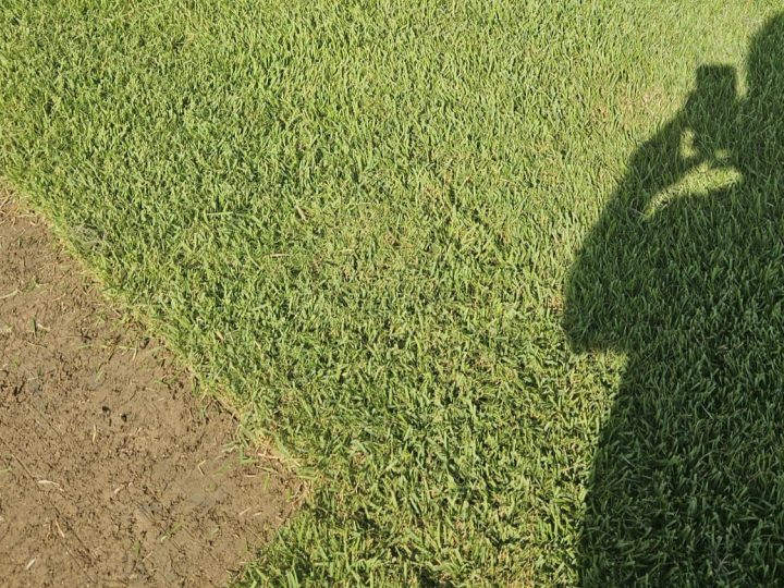 İklim değişiyorsa çim alanlar da değişiyor