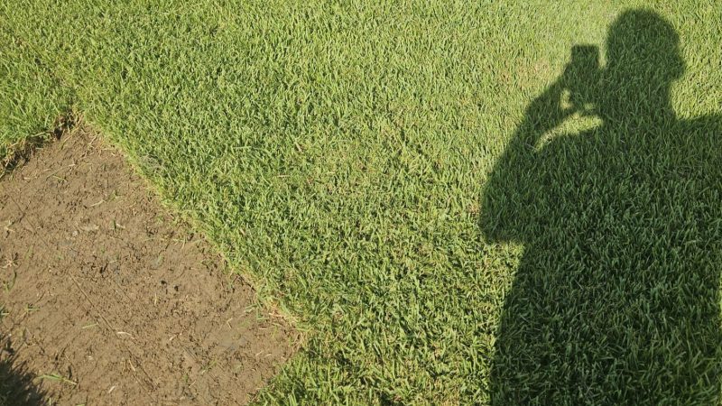 İklim değişiyorsa çim alanlar da değişiyor