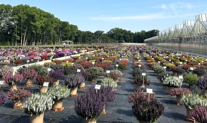 Fleuroselect’in uluslararası 55. buluşması…