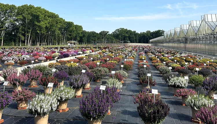 Fleuroselect’in uluslararası 55. buluşması…